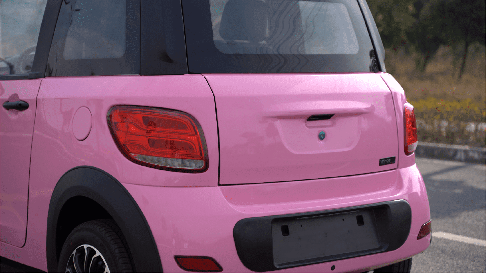 Wings Motors Pink Sin uso de petroleo